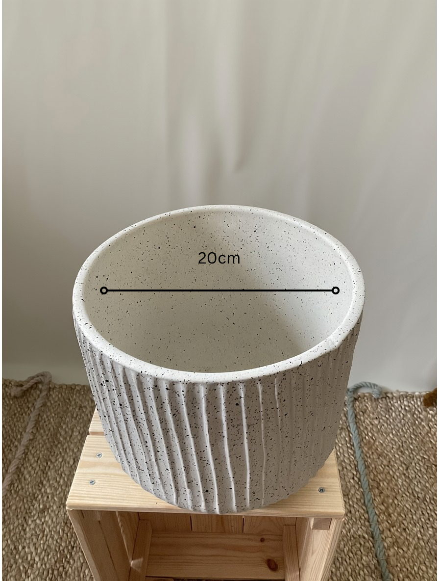 20cm 20cm